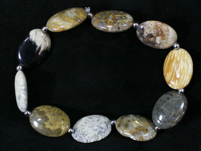 Polished Petrified Palmwood & Fossil Coral Bracelet #24667